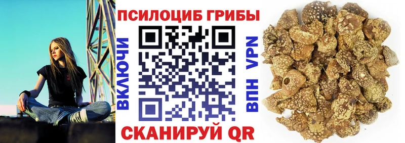 Купить закладки  Удомля  Псилоцибиновые грибы мухоморы 